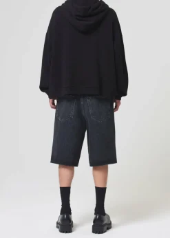 AGOLDE Dayne Hoodie In Black Online