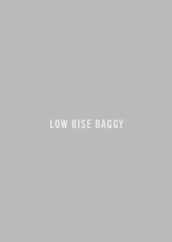 AGOLDE Low Slung Baggy 30.5\\ Best Sale