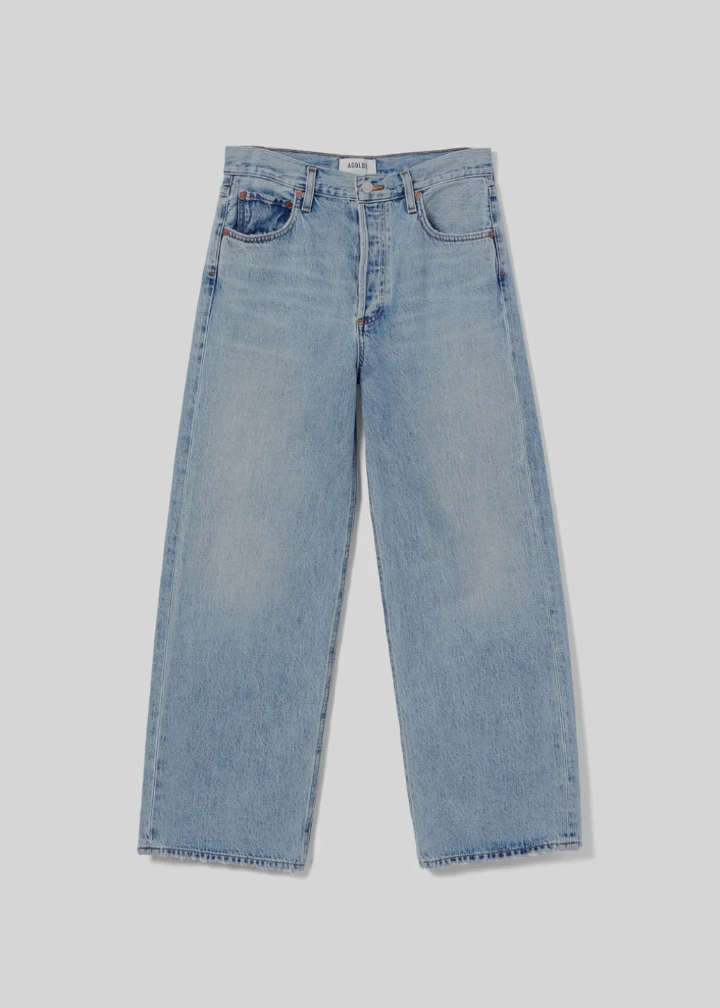 AGOLDE Ren Jean In Disclosure Shop